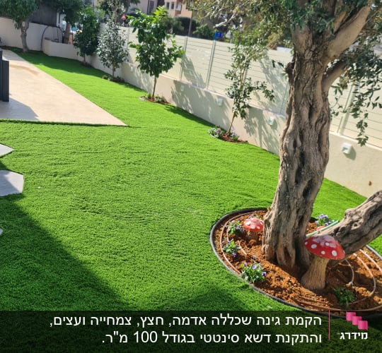 עץ גדול עם דשא מלאכותי ופטריות דקורטיביות בגינה